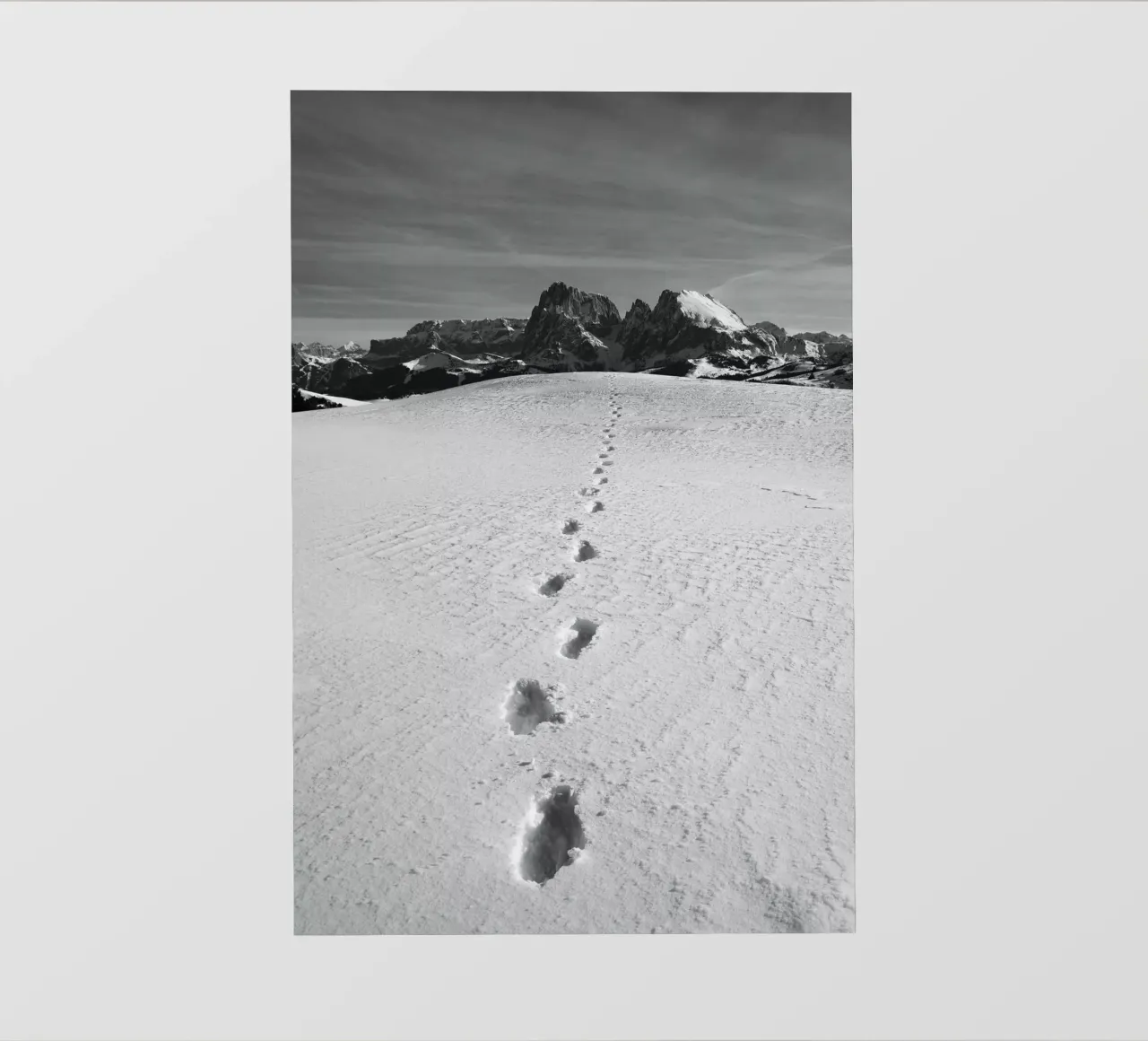 Footprints in the snow telo in pvc da Fjöllart