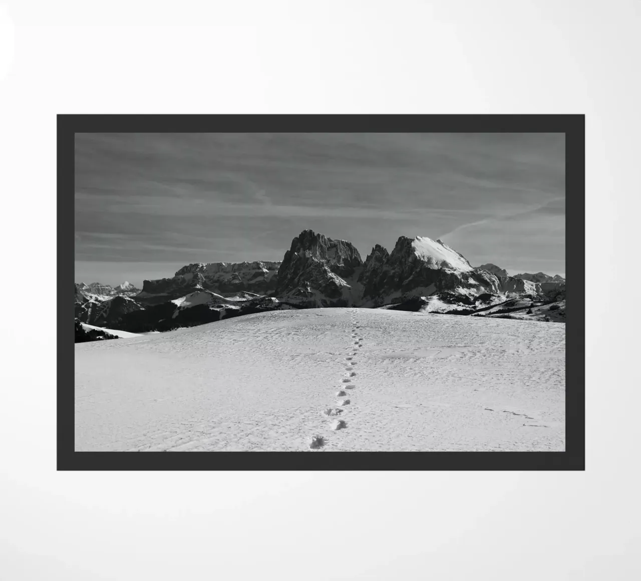 Footprints in the snow zerbino da Fjöllart