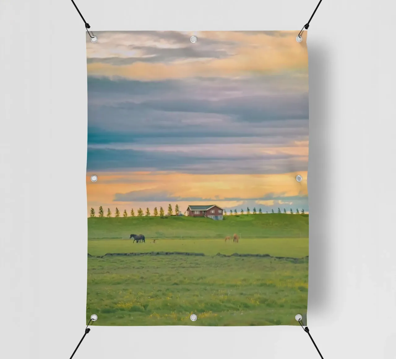 space countryside field telo in pvc da juli