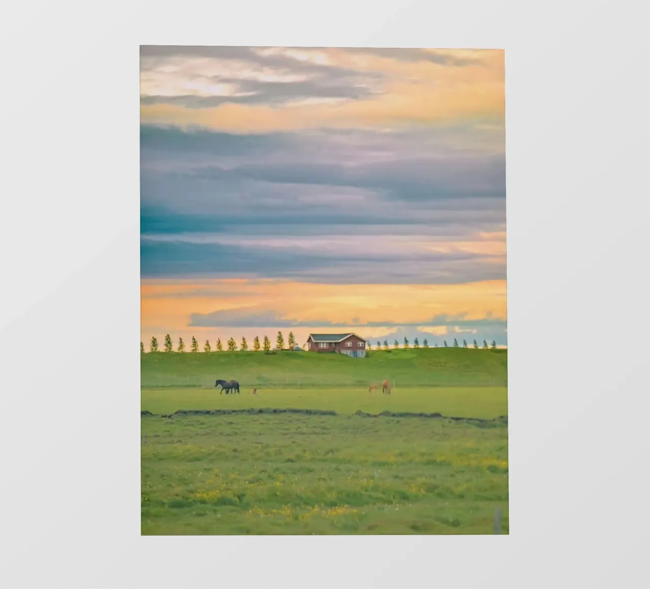 space countryside field telo in pvc da juli