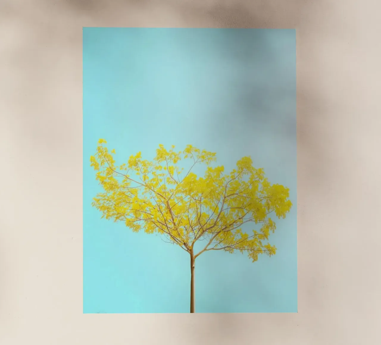 yellow branch pellicola backlit da juli