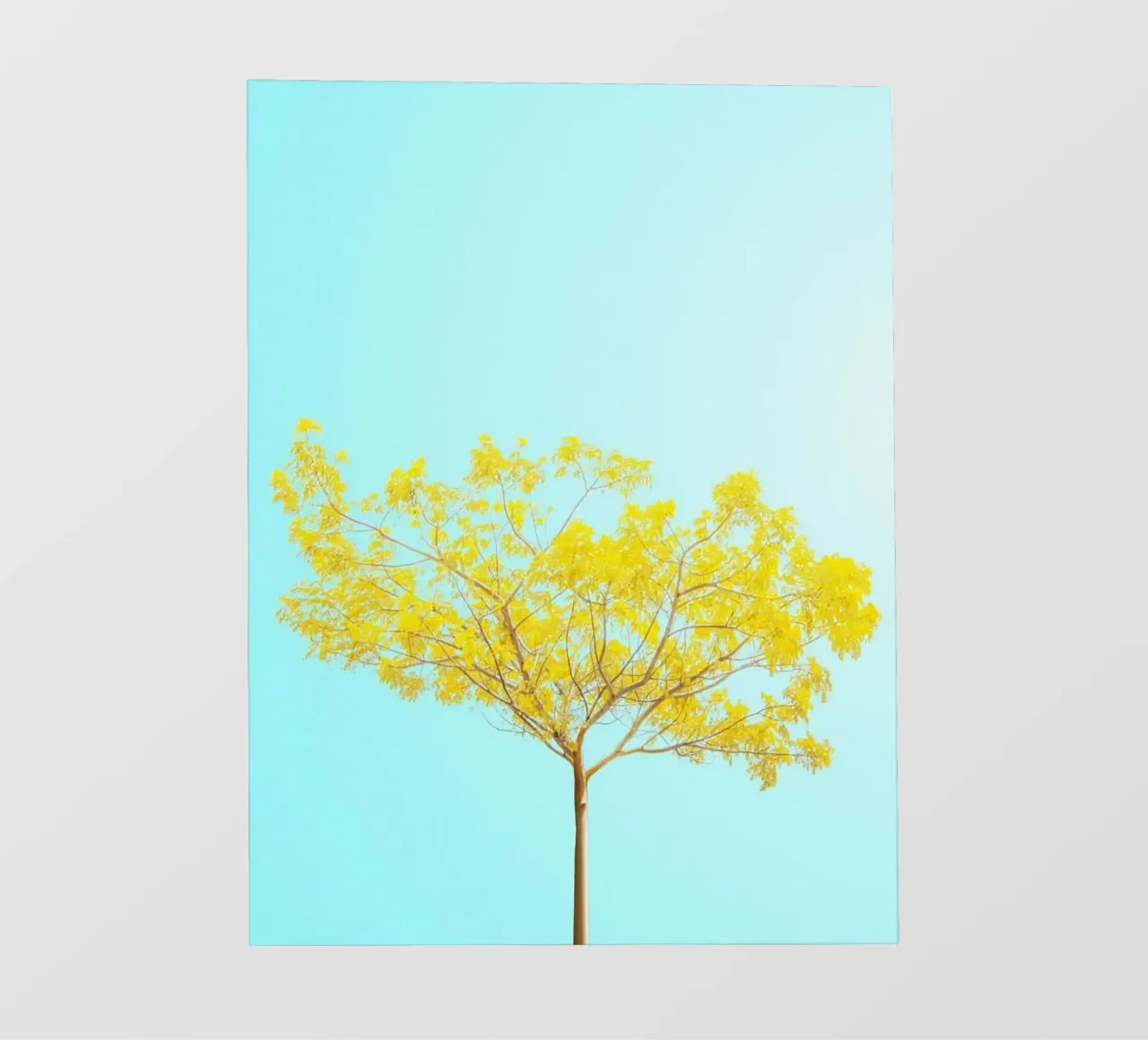 yellow branch pellicola backlit da juli