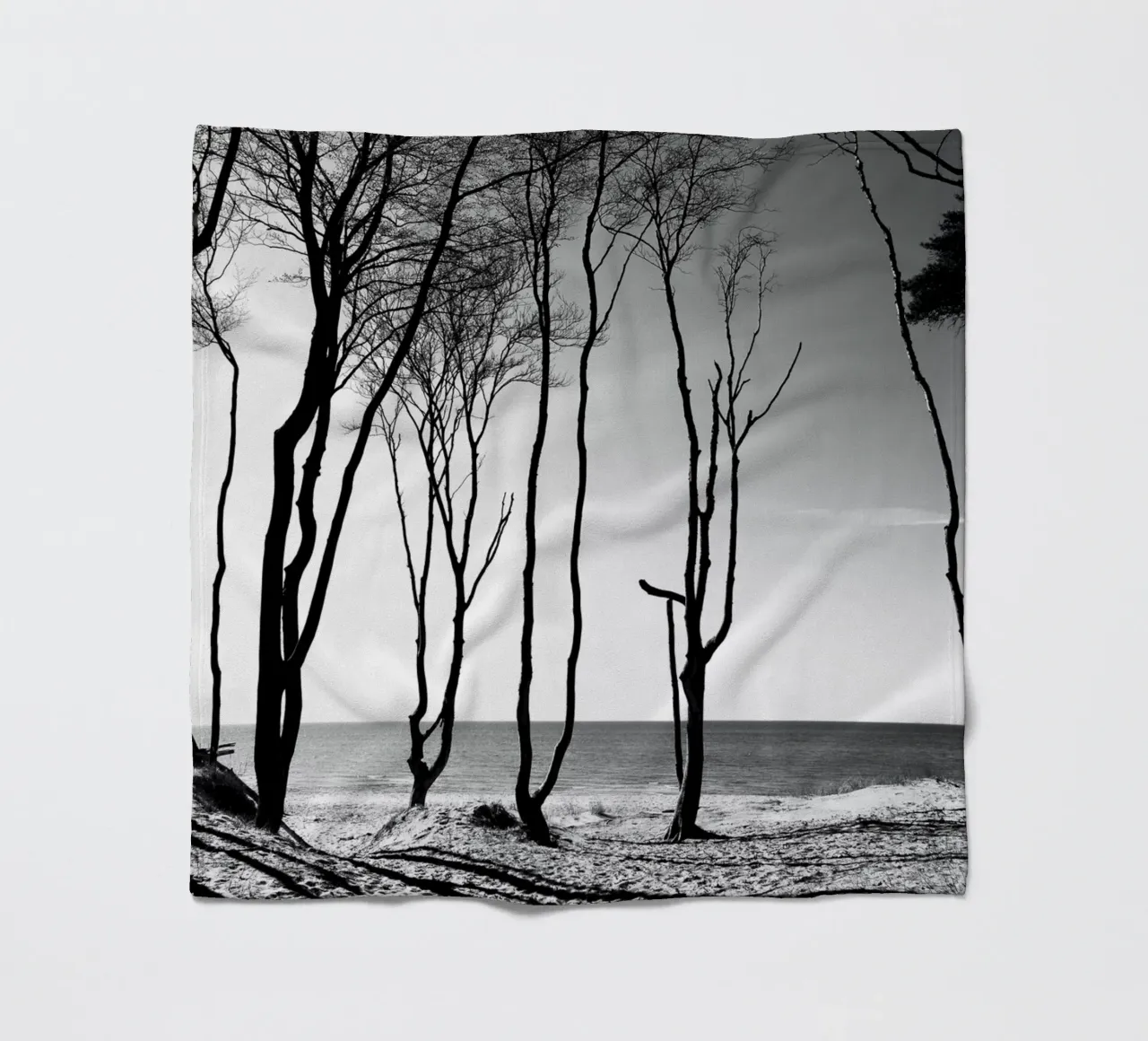 Coastal trees coperta in pile da Fjöllart