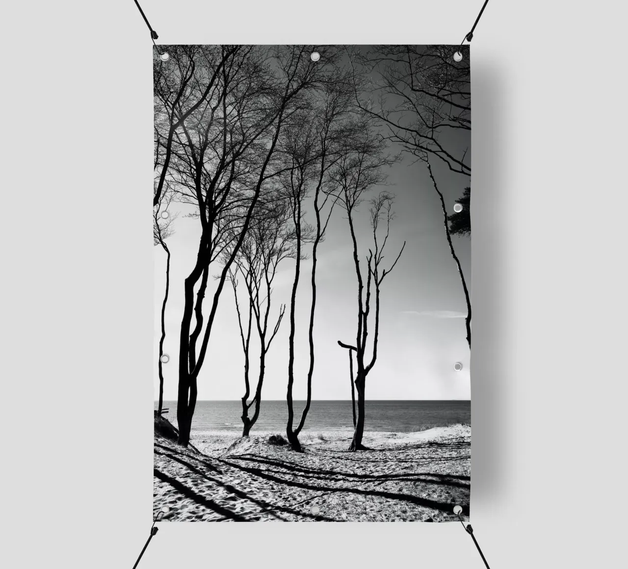 Coastal trees telo in pvc da Fjöllart