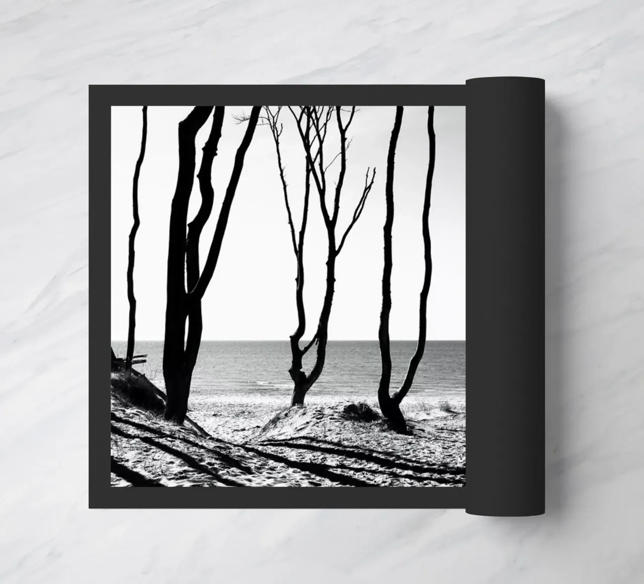 Coastal trees zerbino da Fjöllart