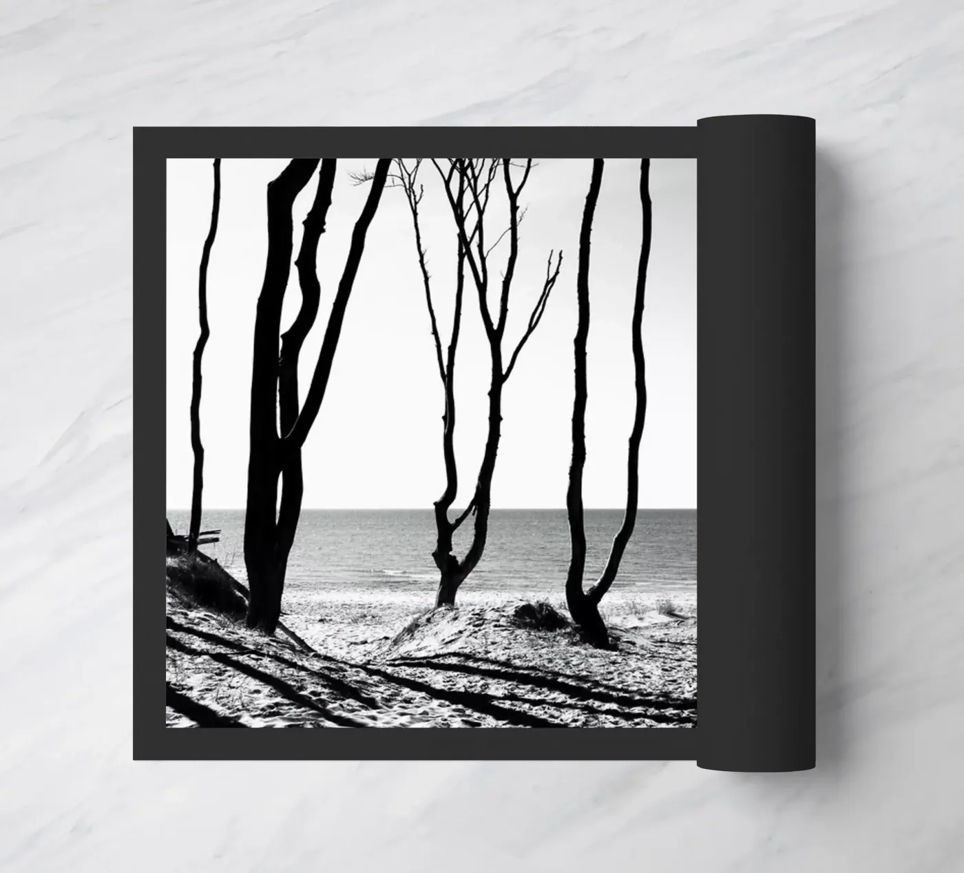 Coastal trees zerbino da Fjöllart