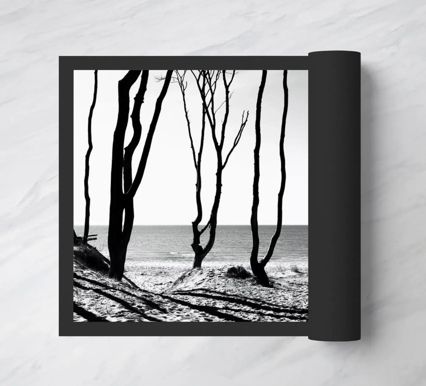 Coastal trees zerbino da Fjöllart