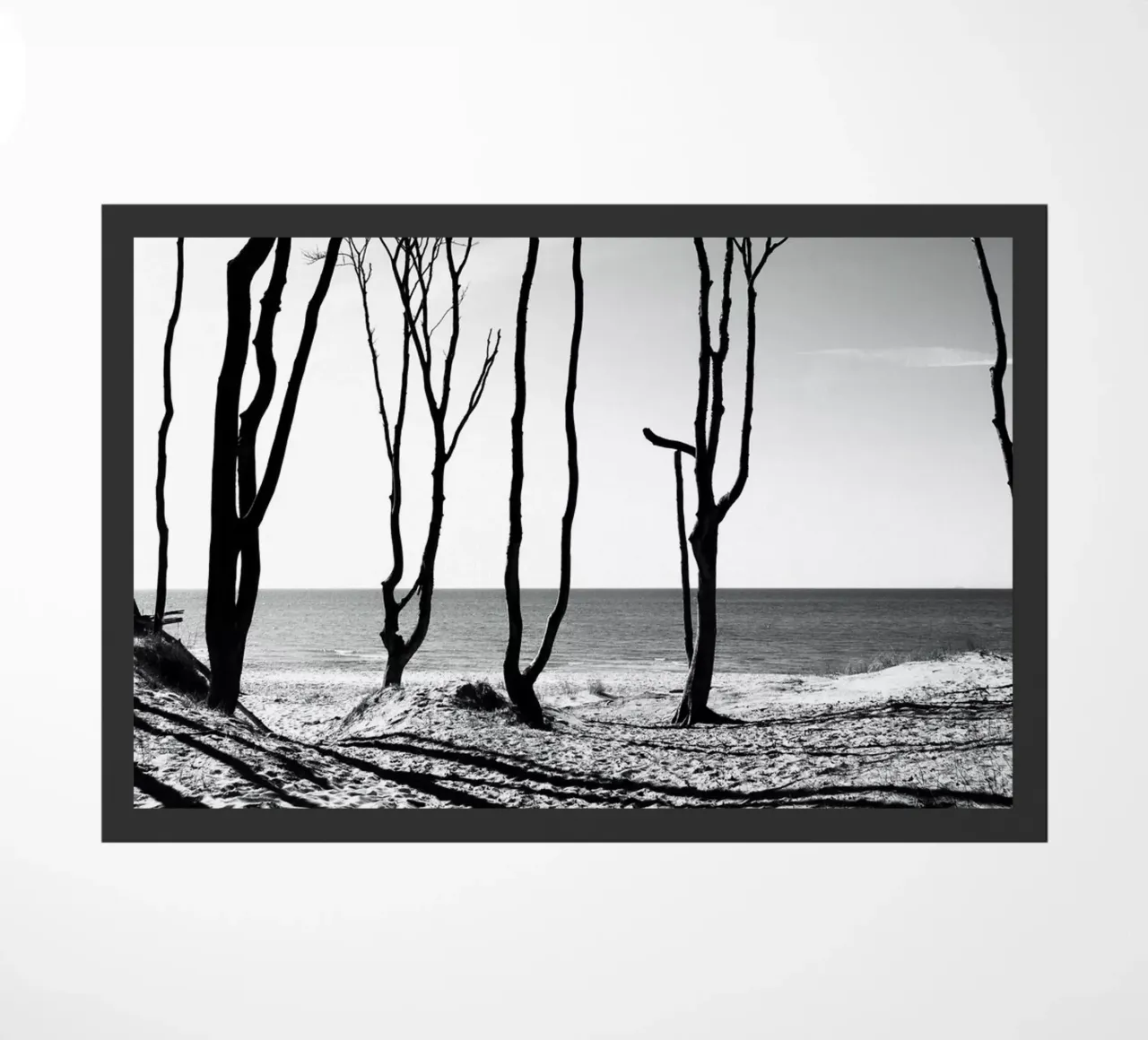 Coastal trees zerbino da Fjöllart