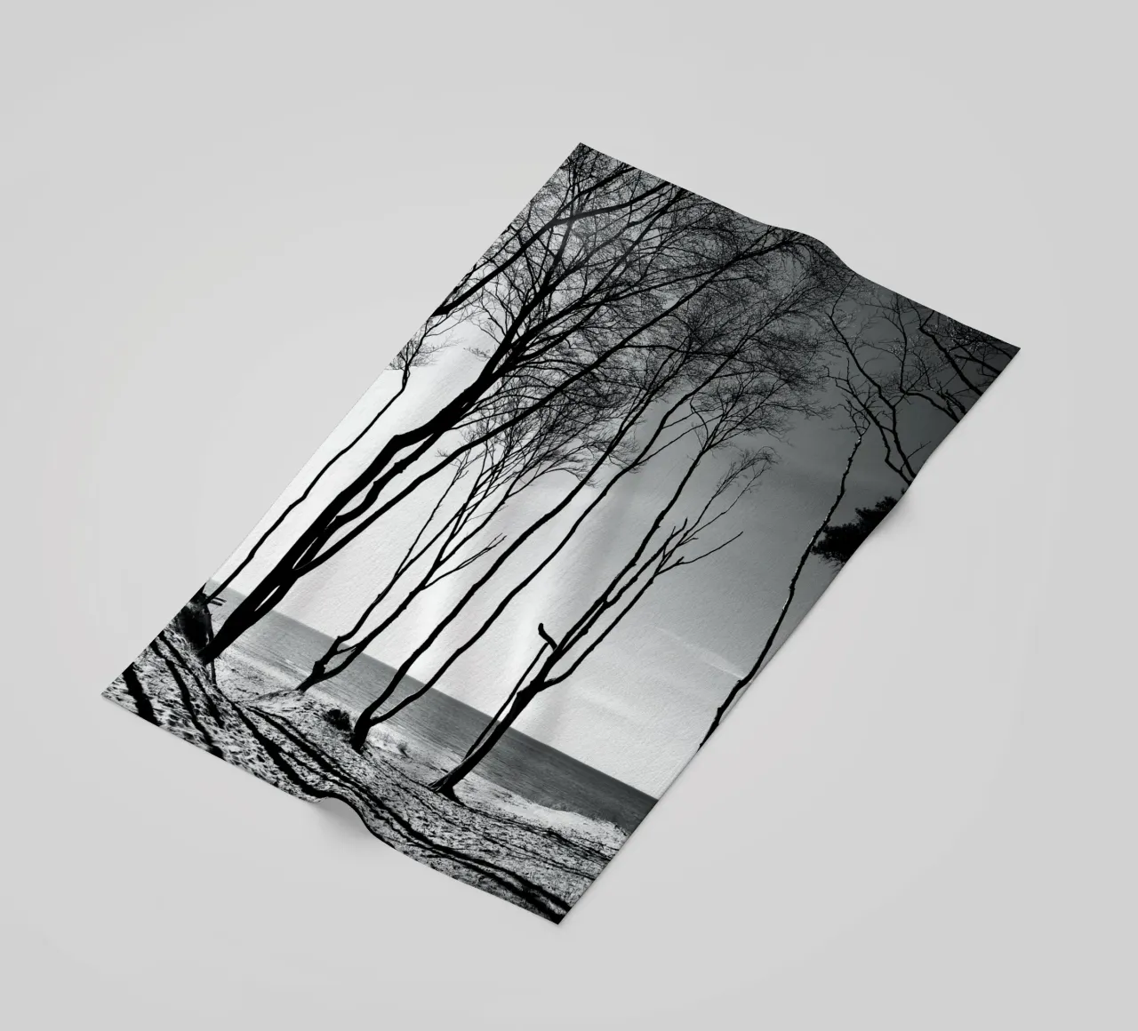 Coastal trees telo mare da Fjöllart