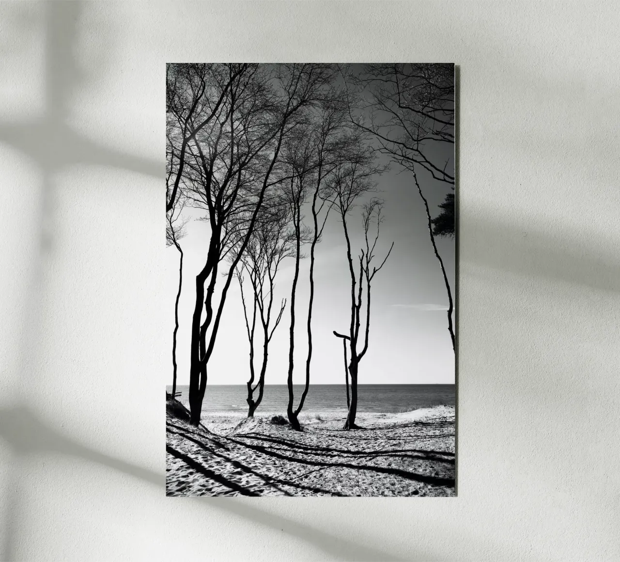 Coastal trees alluminio dibond da Fjöllart
