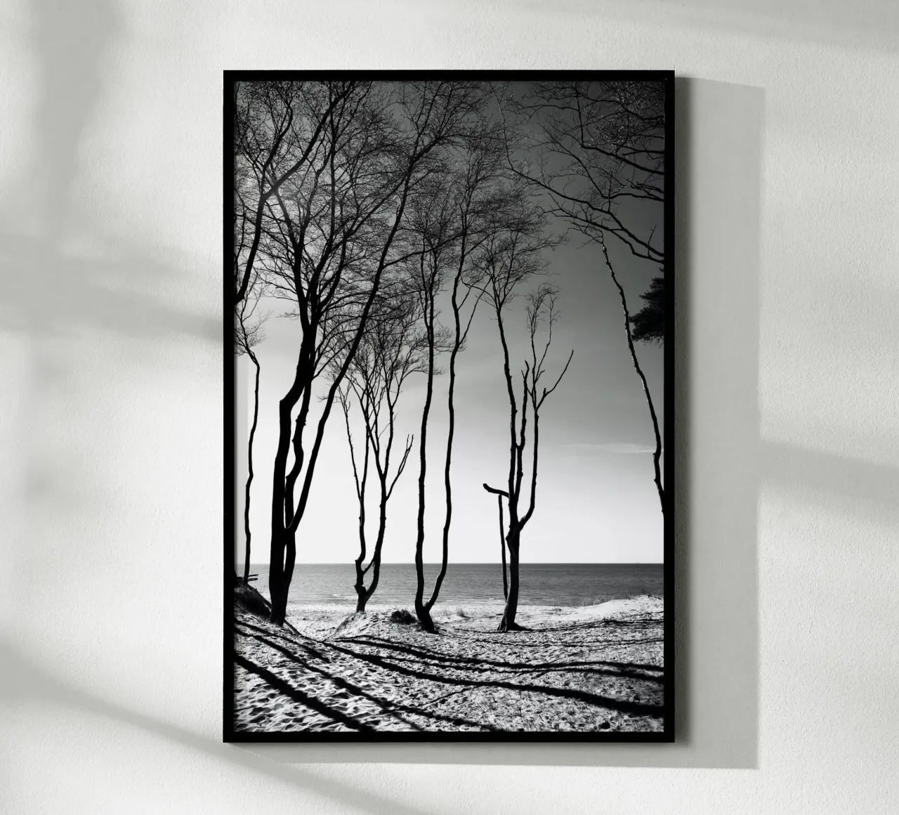 Coastal trees carta hahnemühle da Fjöllart