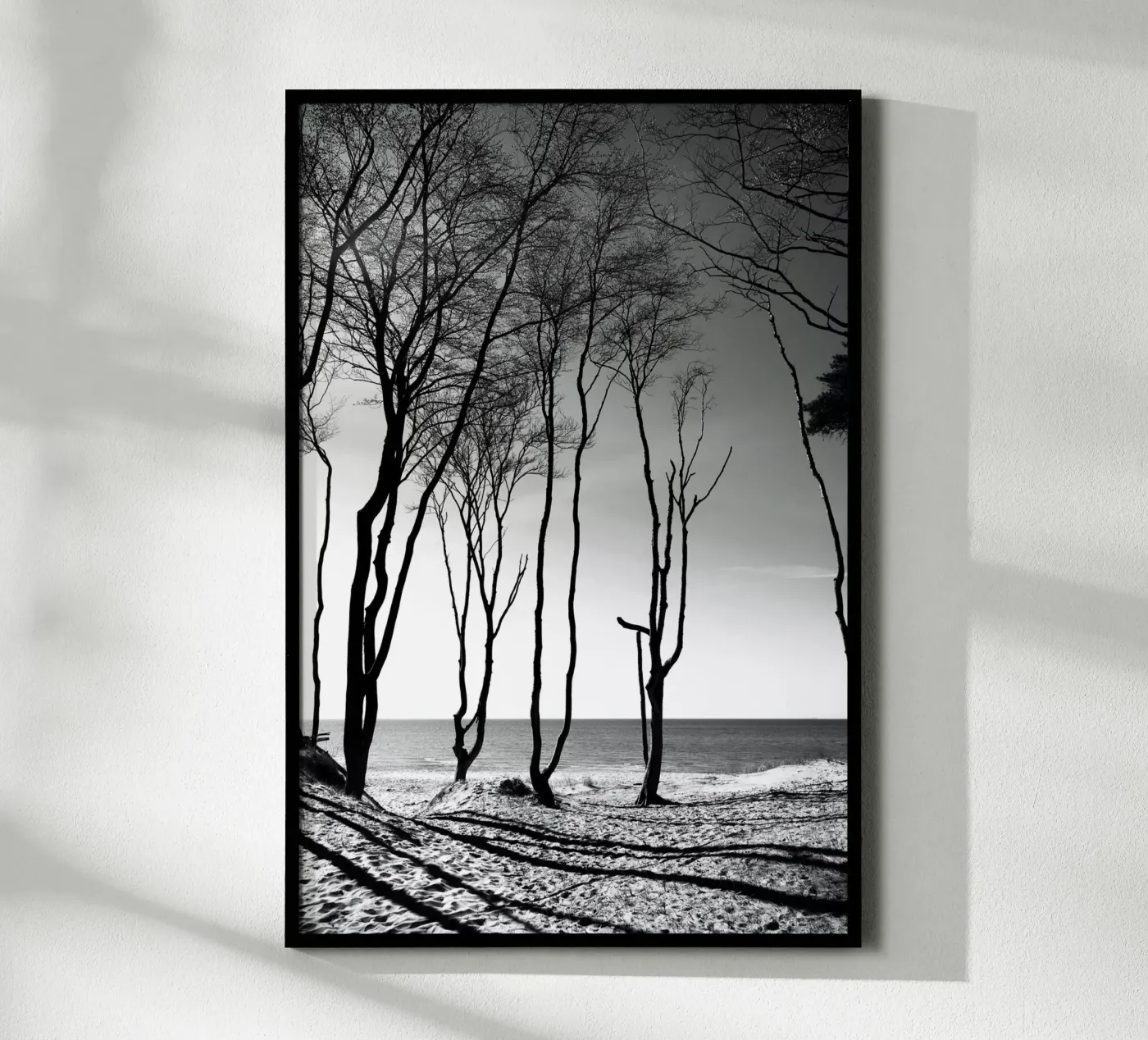 Coastal trees poster da Fjöllart