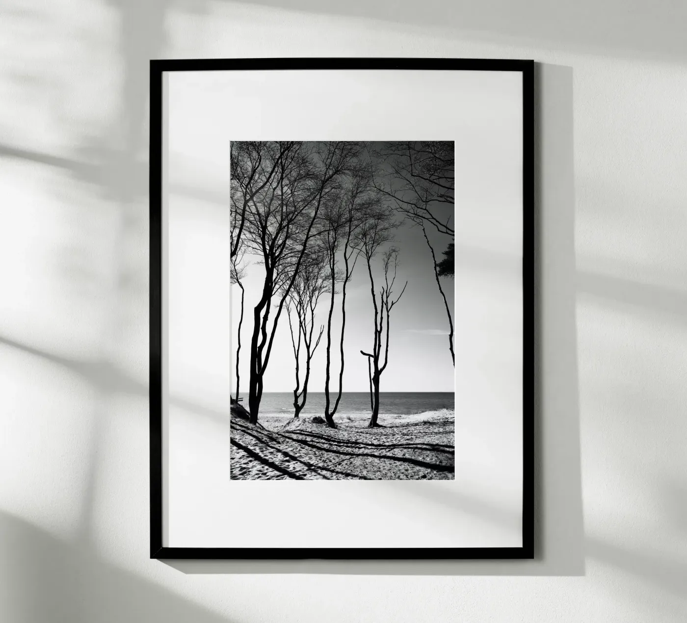 Coastal trees poster da Fjöllart