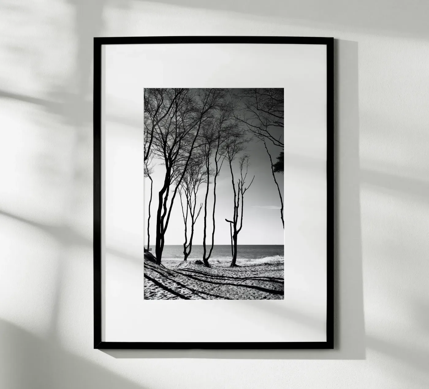 Coastal trees poster da Fjöllart