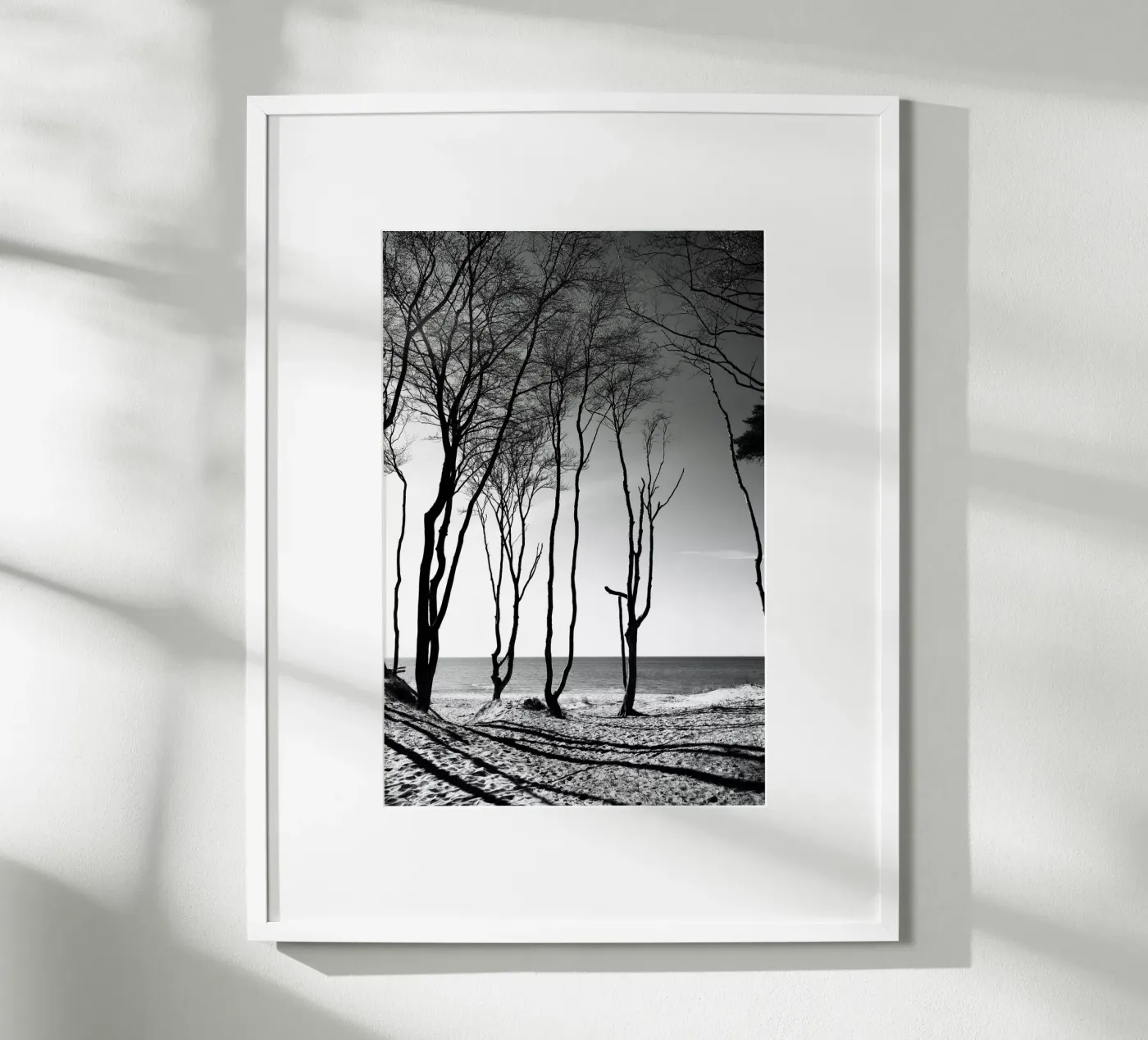 Coastal trees poster da Fjöllart