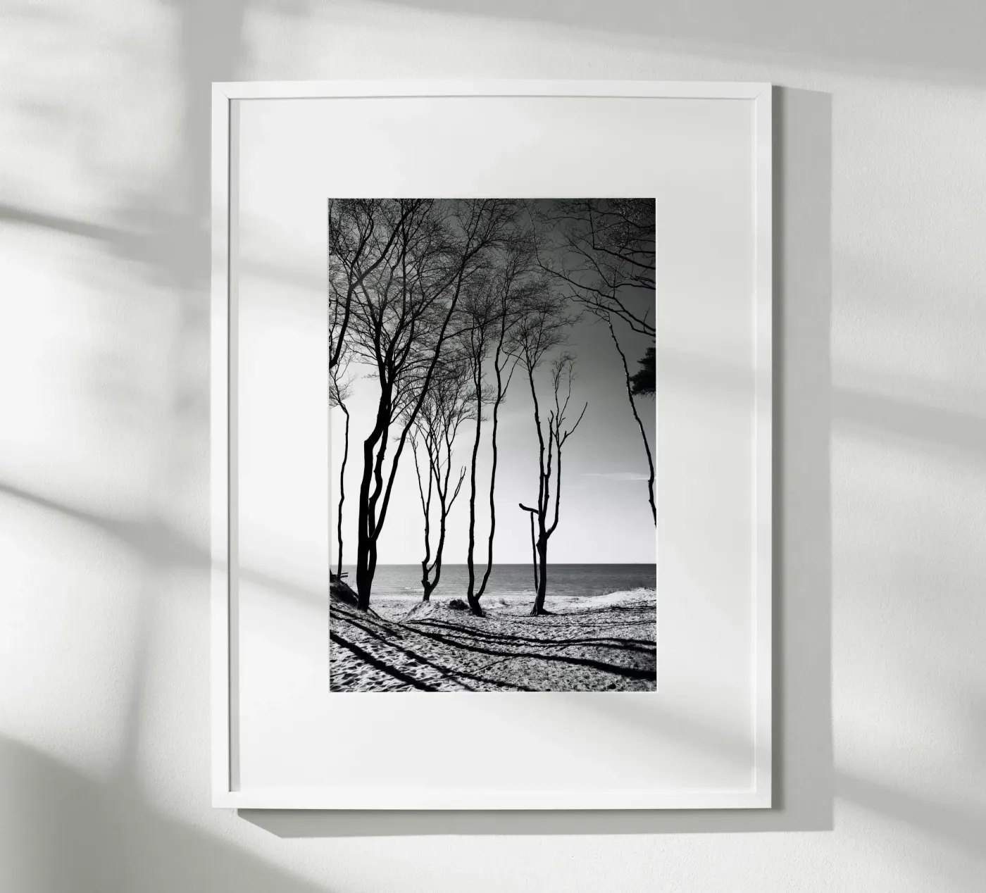 Coastal trees poster da Fjöllart