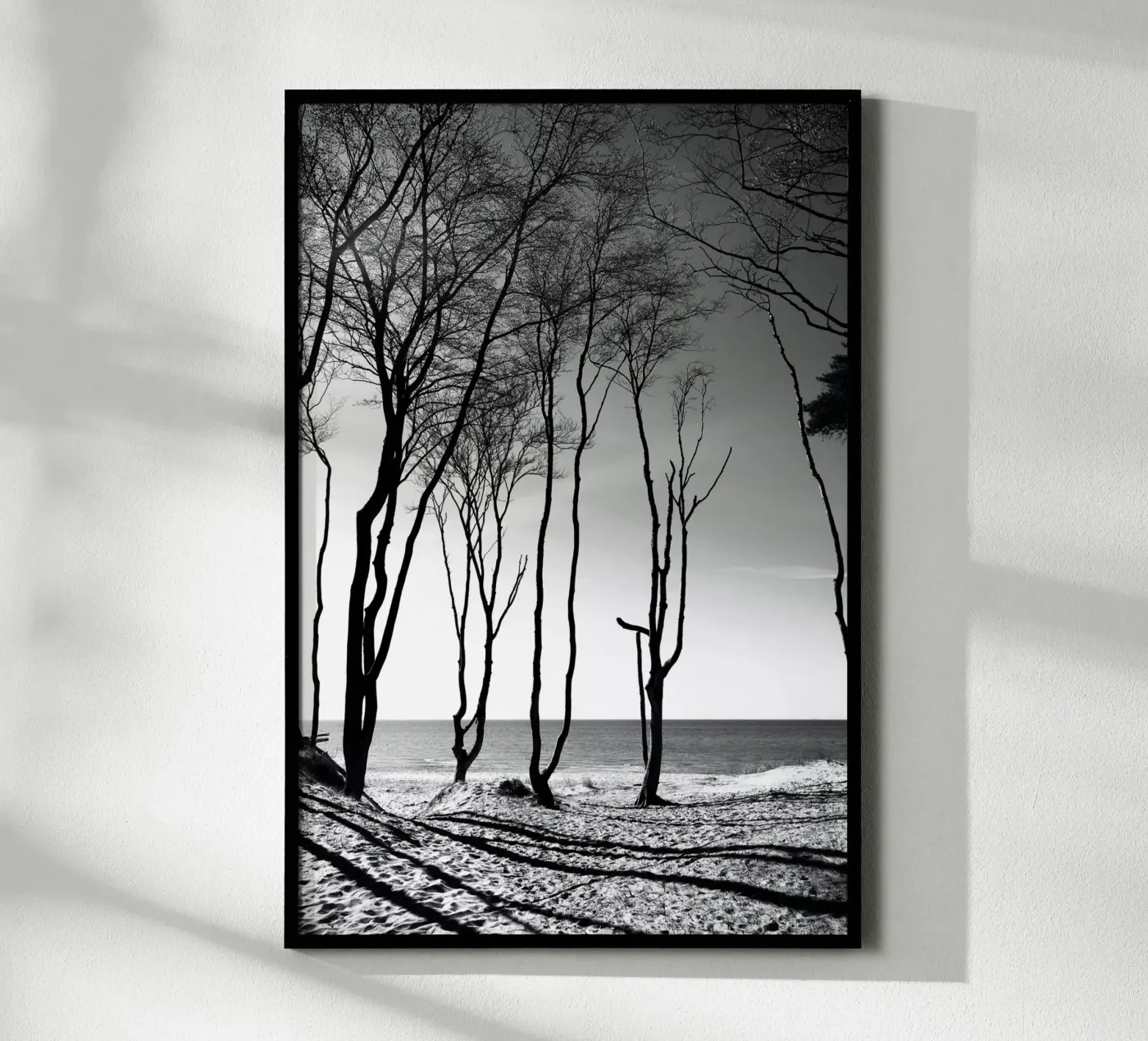 Coastal trees poster da Fjöllart