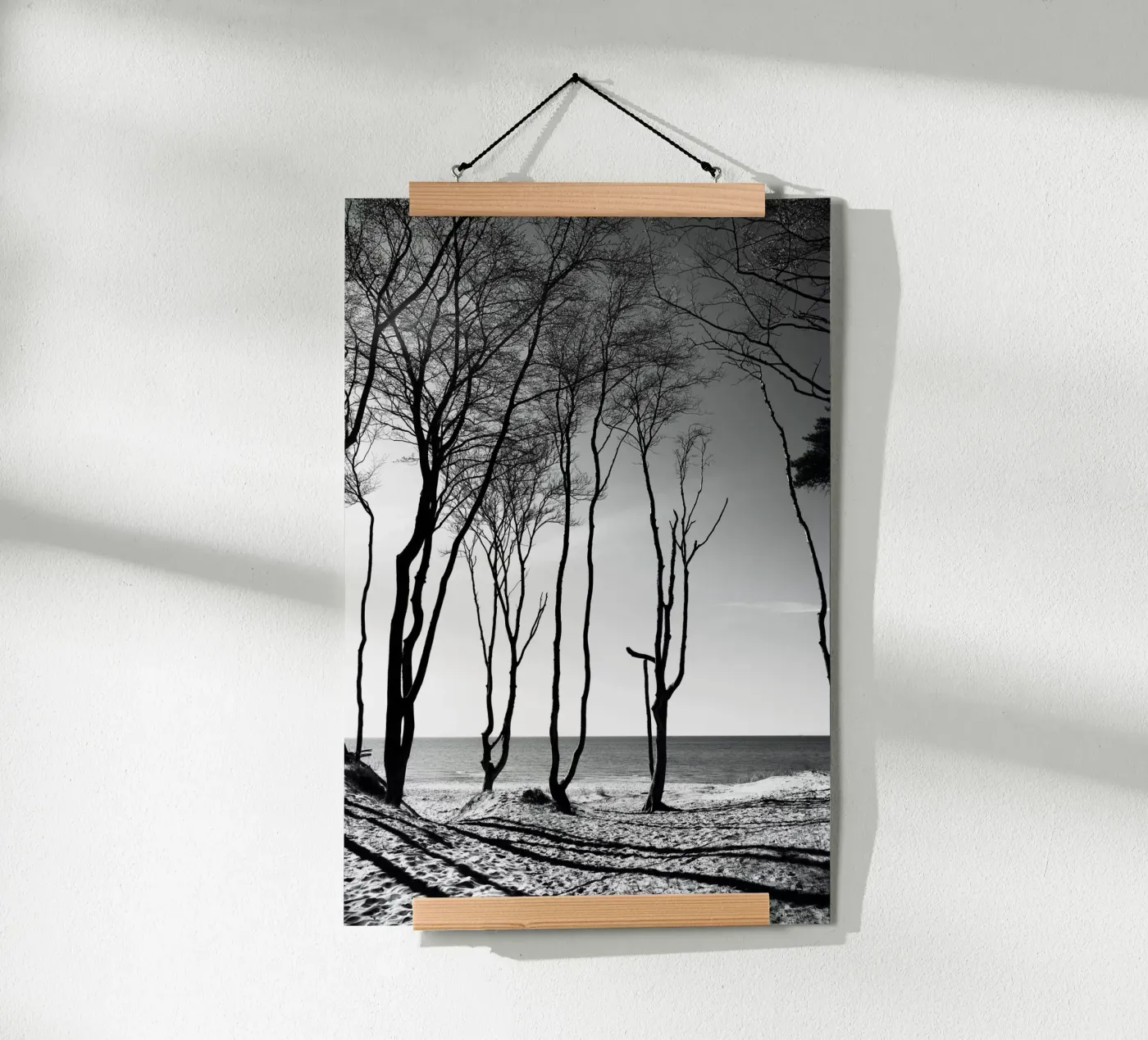 Coastal trees poster da Fjöllart