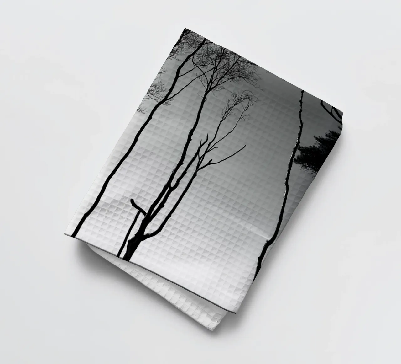 Coastal trees canovaccio da cucina da Fjöllart