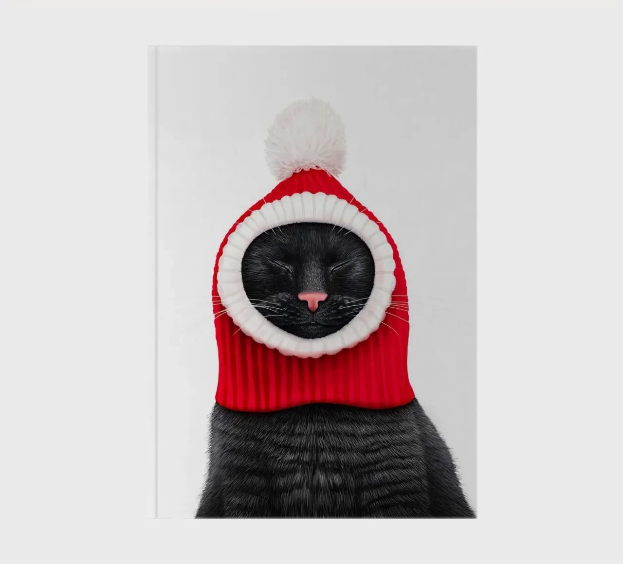 Black Cat in a Red Hat notebook by Leonard
