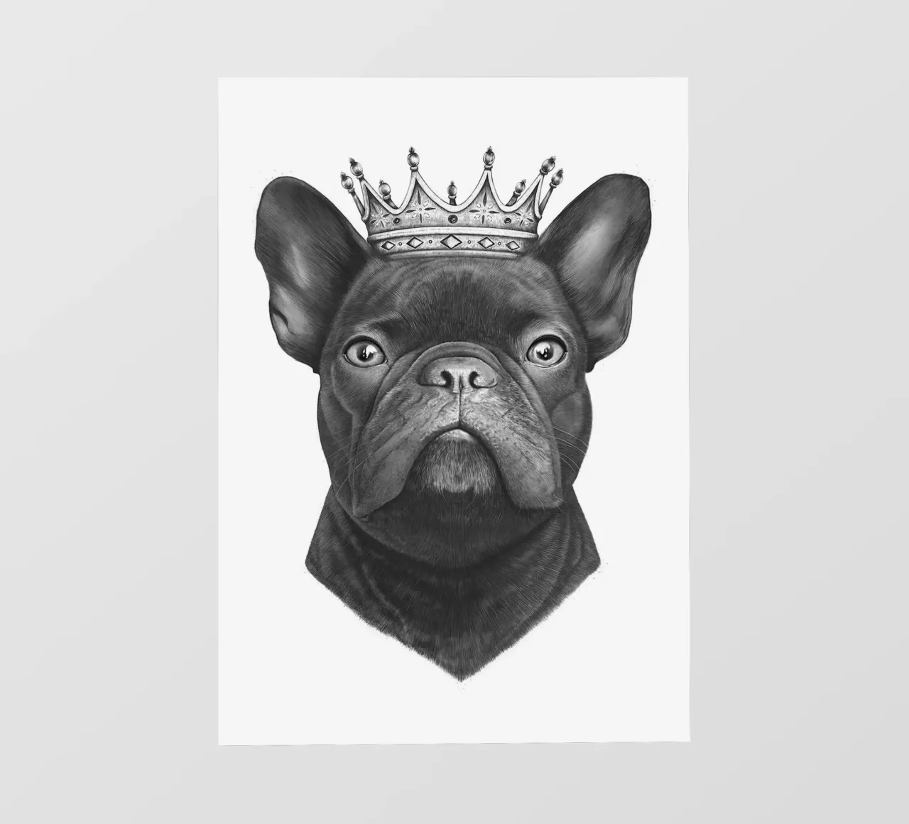 Re bulldog francese telo in pvc da Leonard