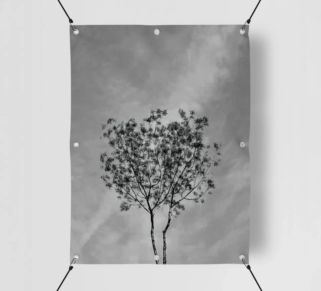 branch in shade telo in pvc da juli