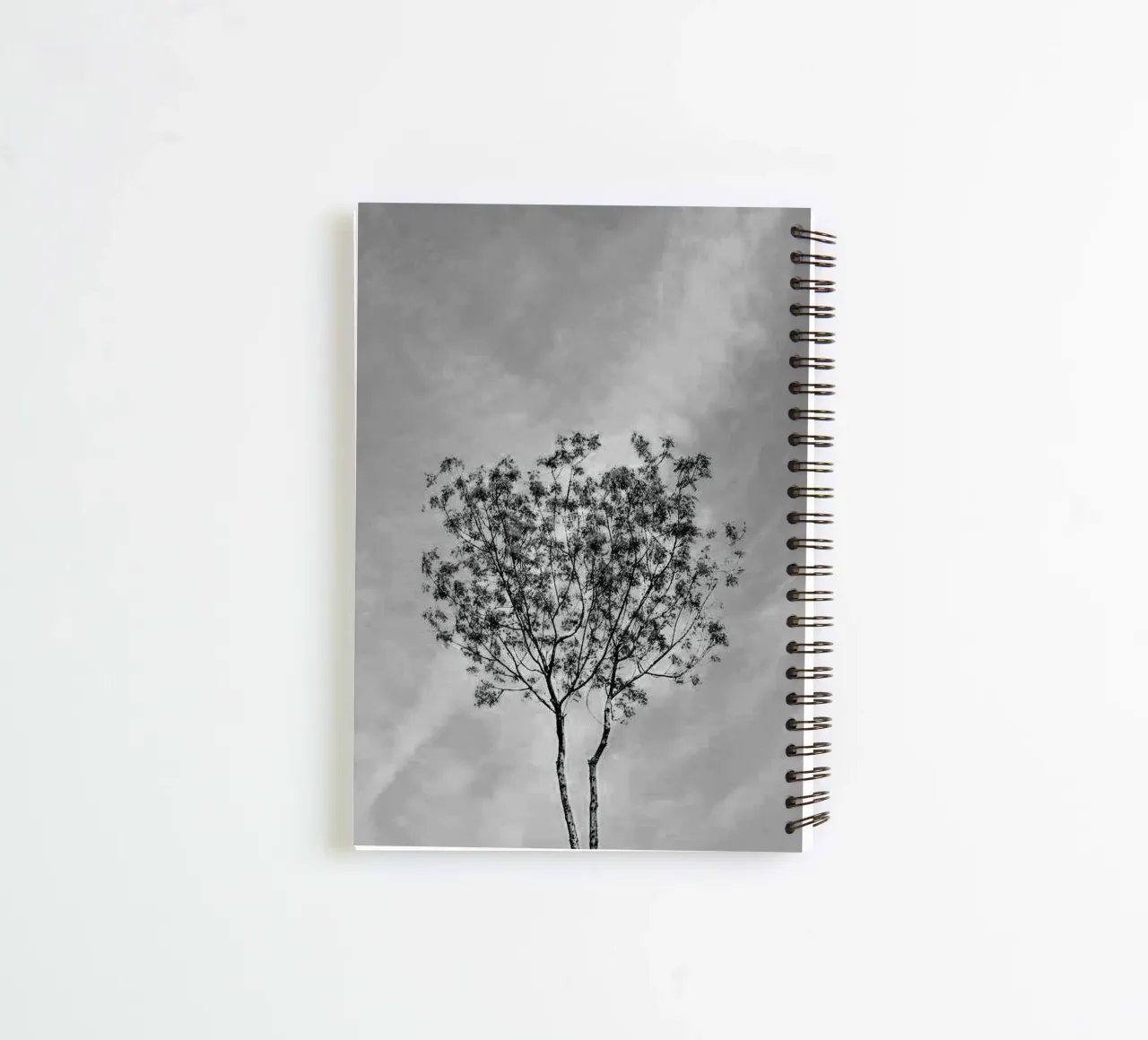 branch in shade diario ad anelli da juli