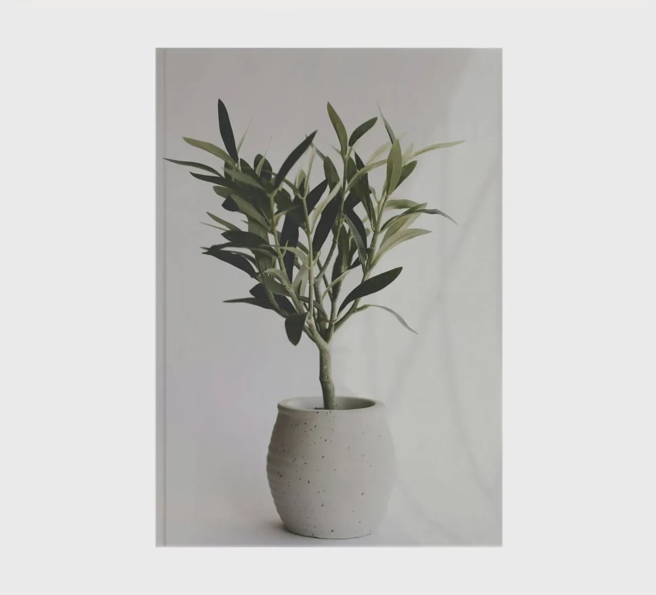 vase in shade Notizbuch von marty