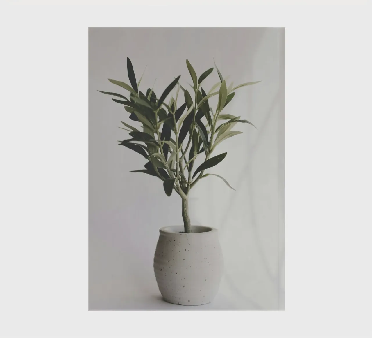 vase in shade diario da marty