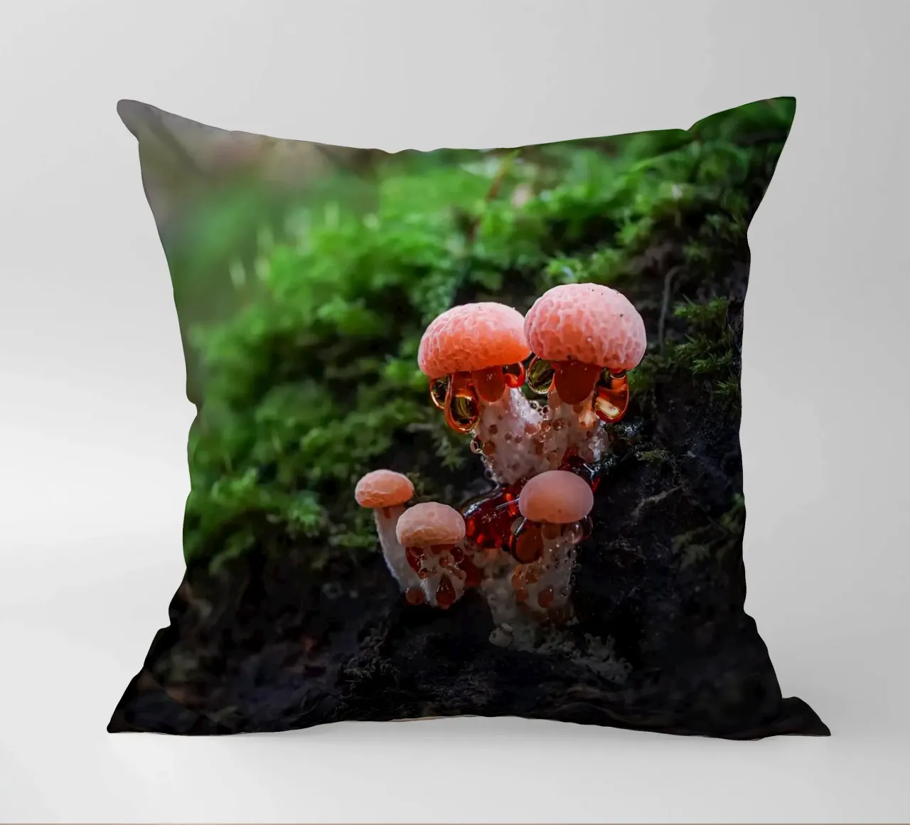 Autunno cuscino da Tom's Wildlife