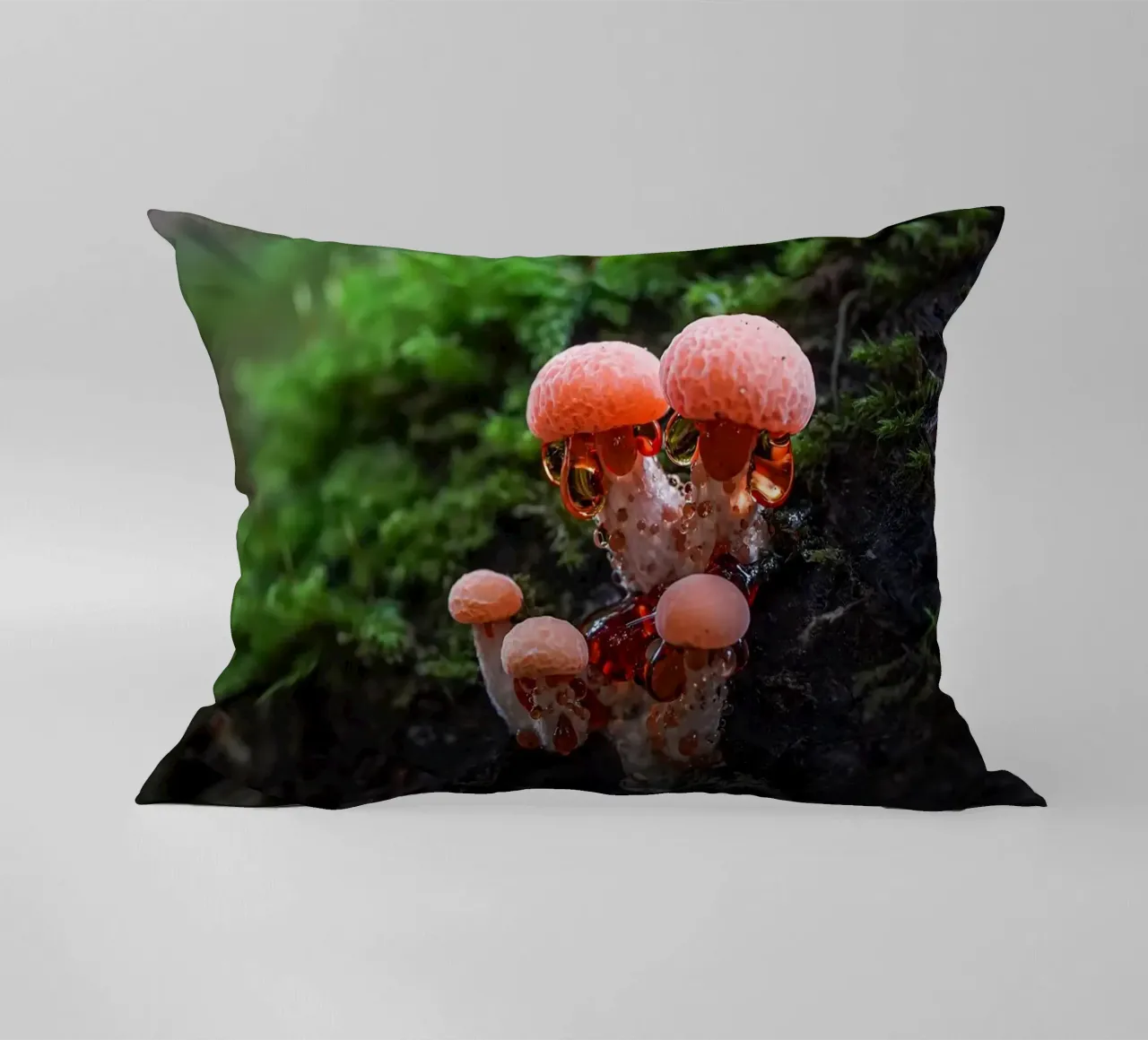 Autunno cuscino da Tom's Wildlife