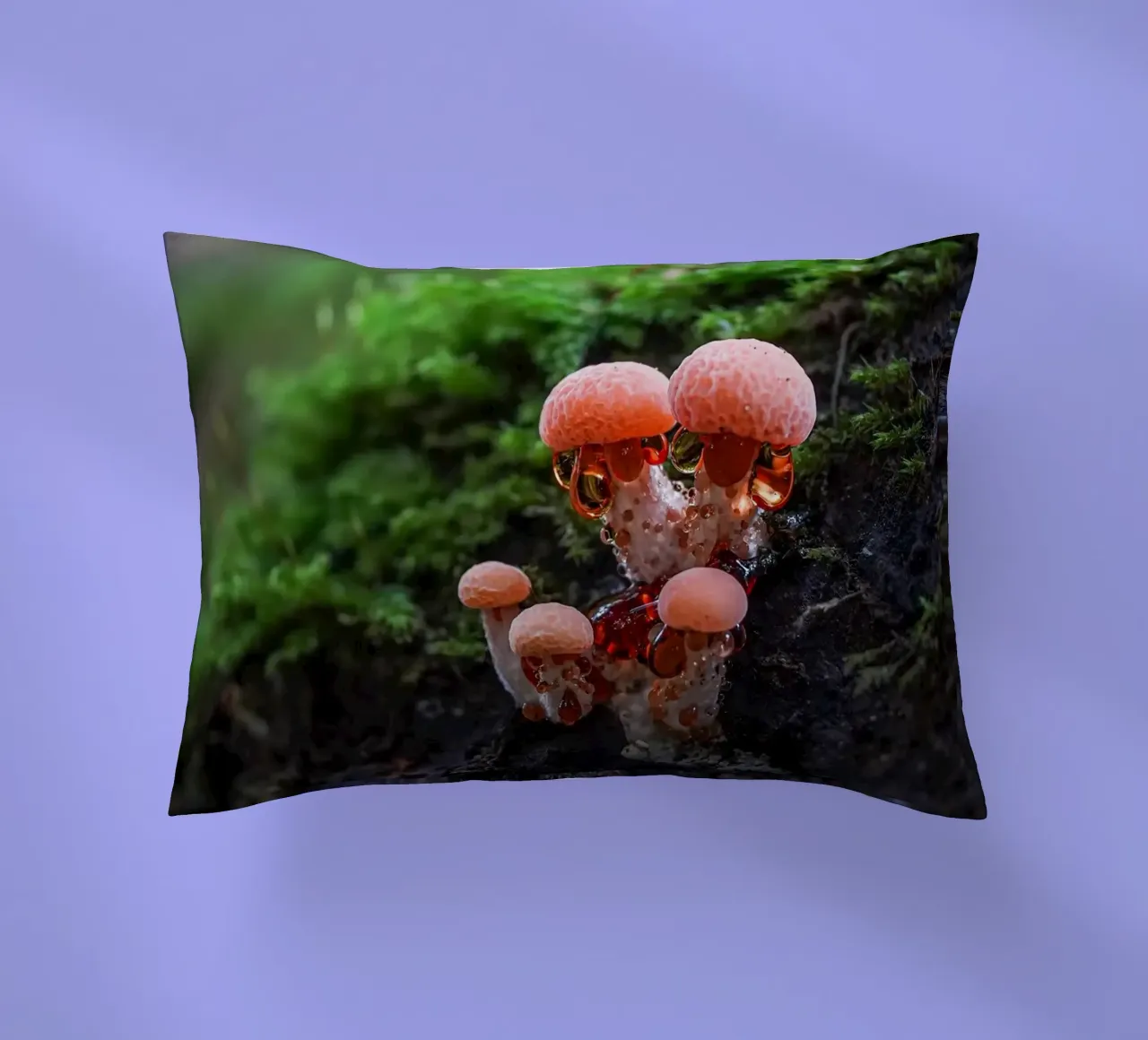 Autunno cuscino da Tom's Wildlife