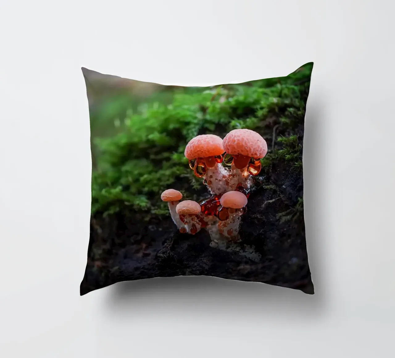 Autunno cuscino da Tom's Wildlife
