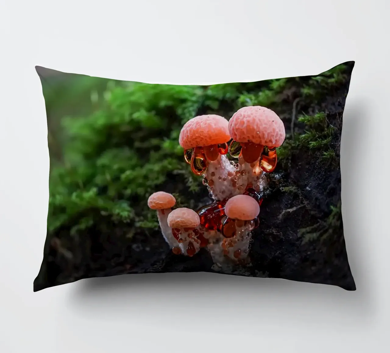 Autunno cuscino da Tom's Wildlife
