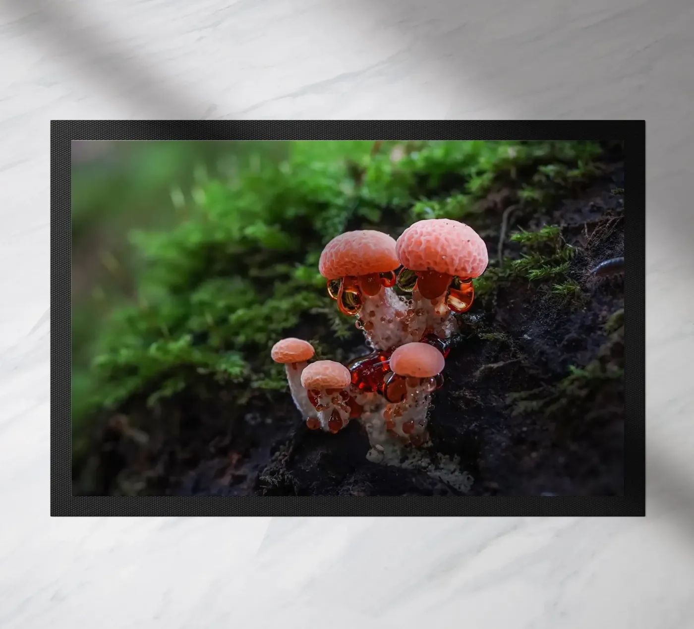 Herfst deurmat van Tom's Wildlife