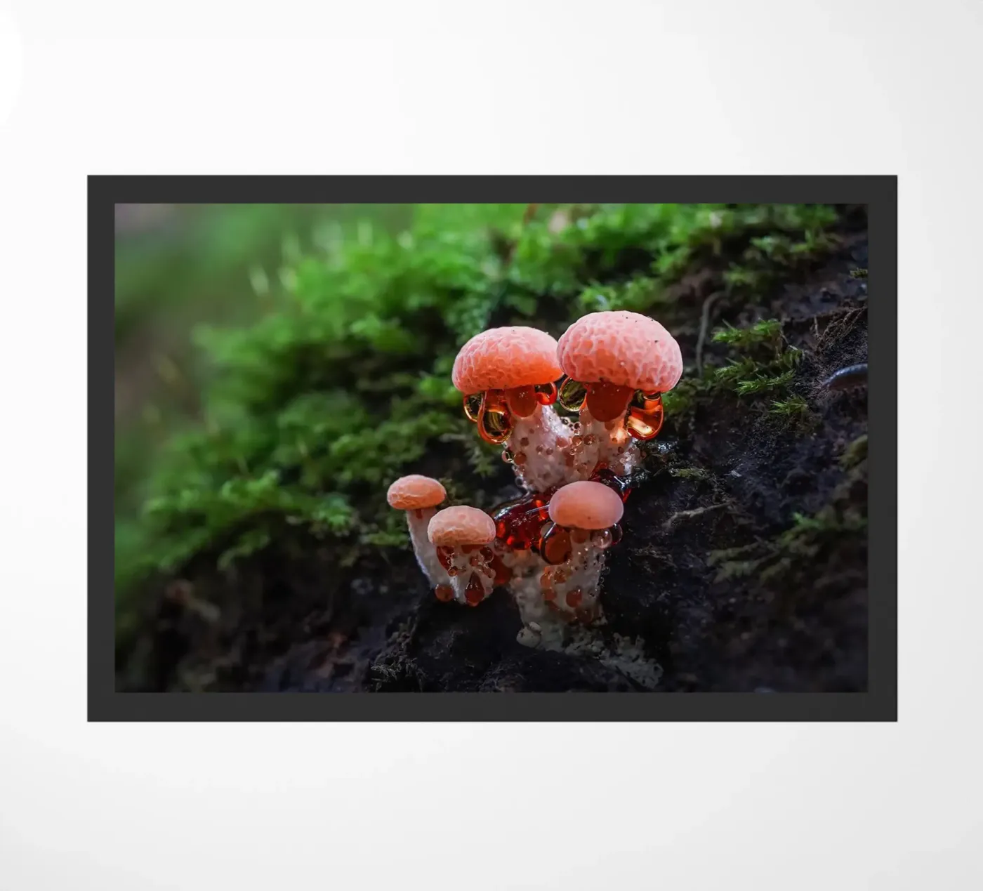 Herfst deurmat van Tom's Wildlife