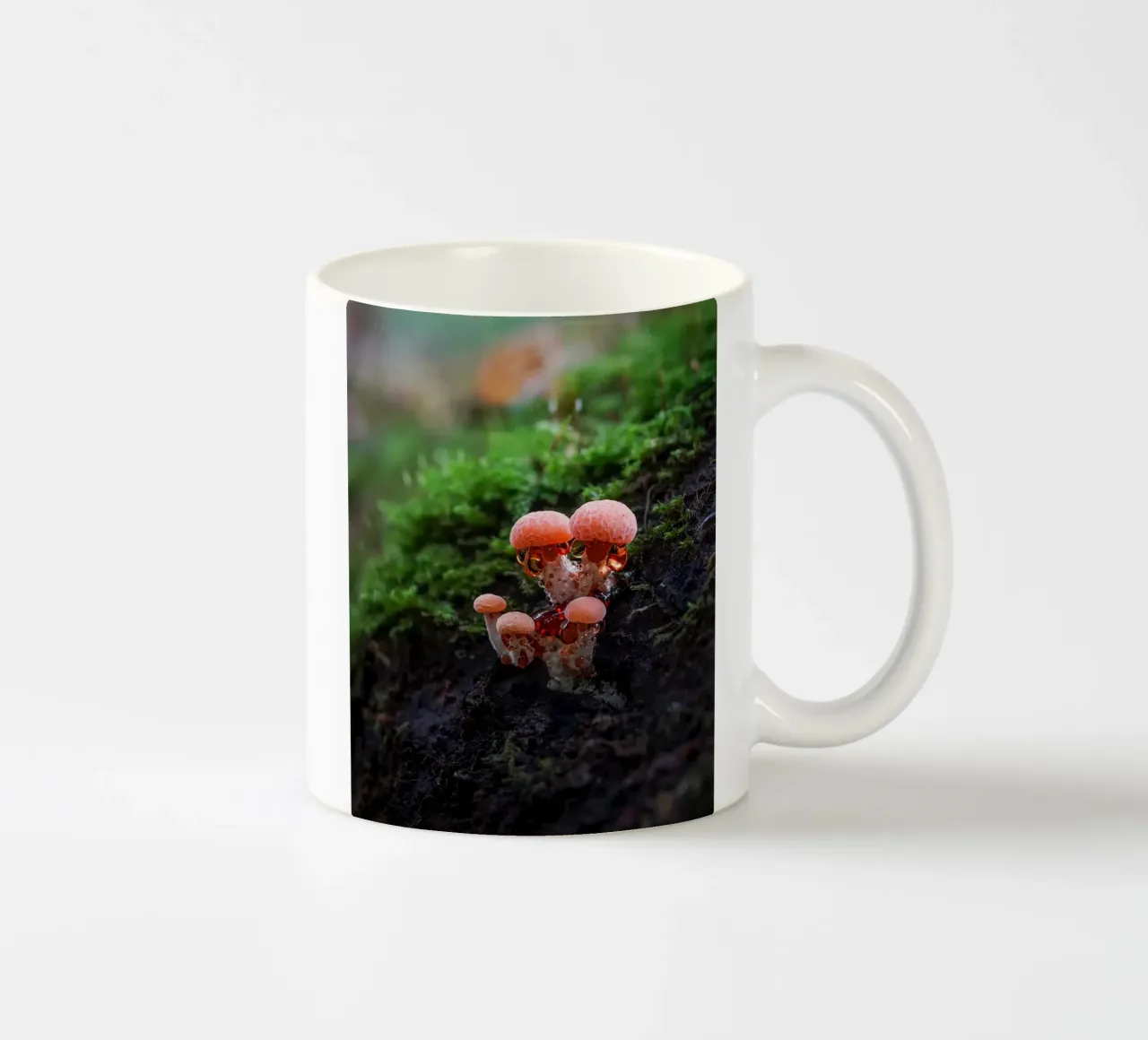 Autunno tazza in ceramica da Tom's Wildlife