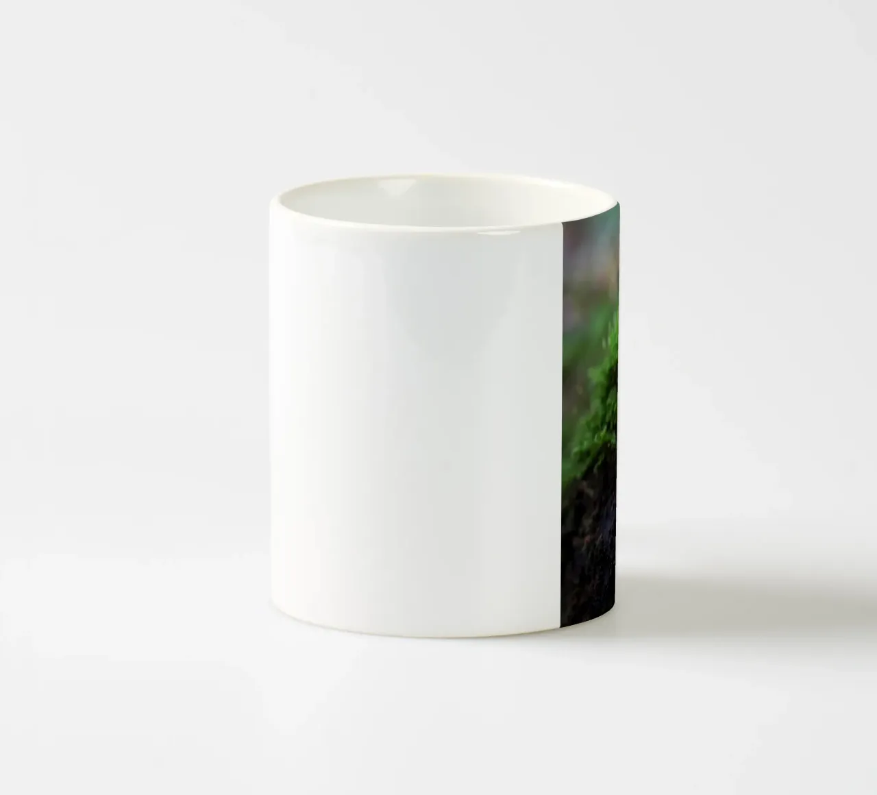 Autunno tazza in ceramica da Tom's Wildlife