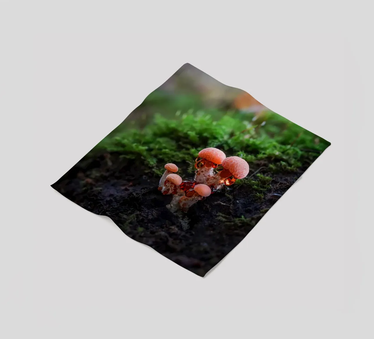 Autunno coperta in pile da Tom's Wildlife