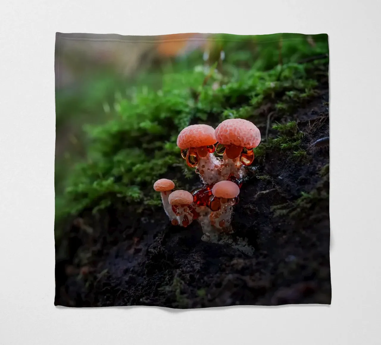 Autunno coperta in pile da Tom's Wildlife