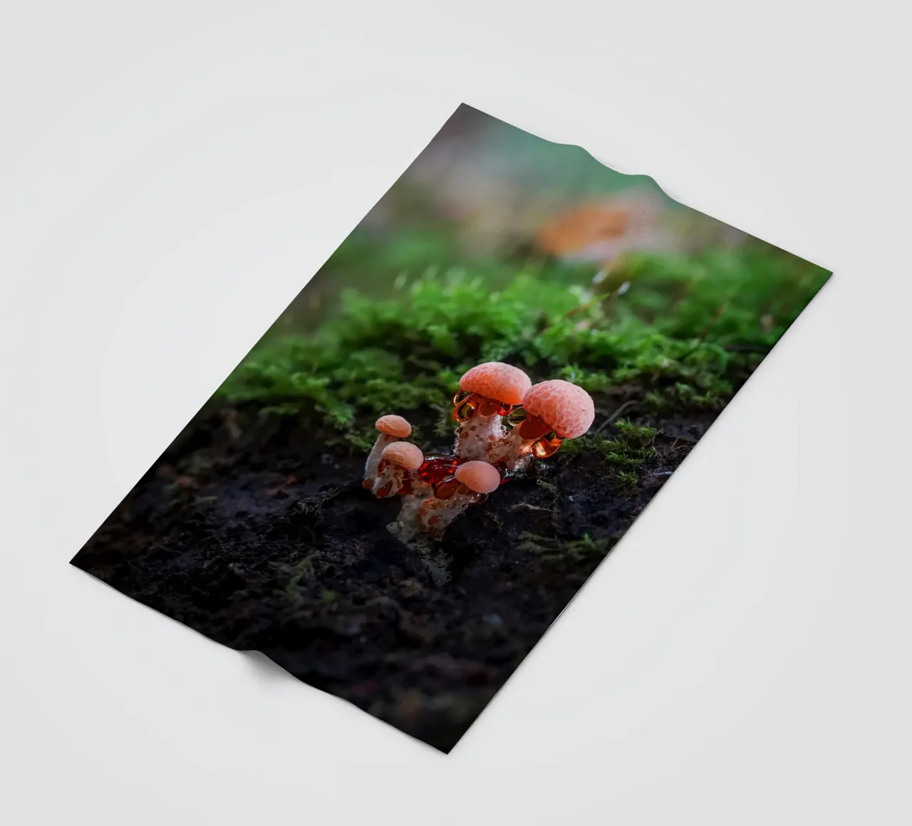 Autunno coperta in pile da Tom's Wildlife