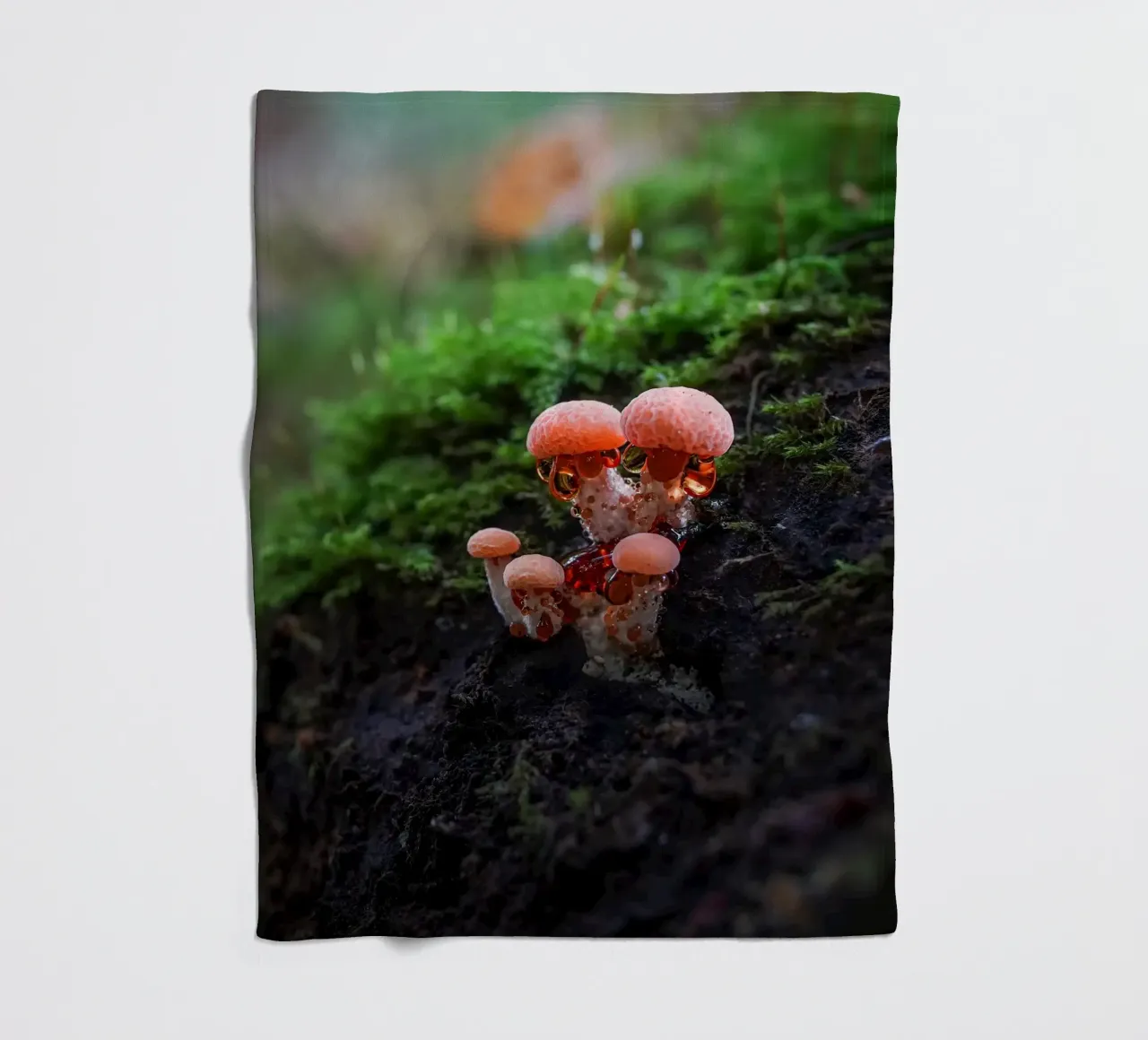 Autunno coperta in pile da Tom's Wildlife