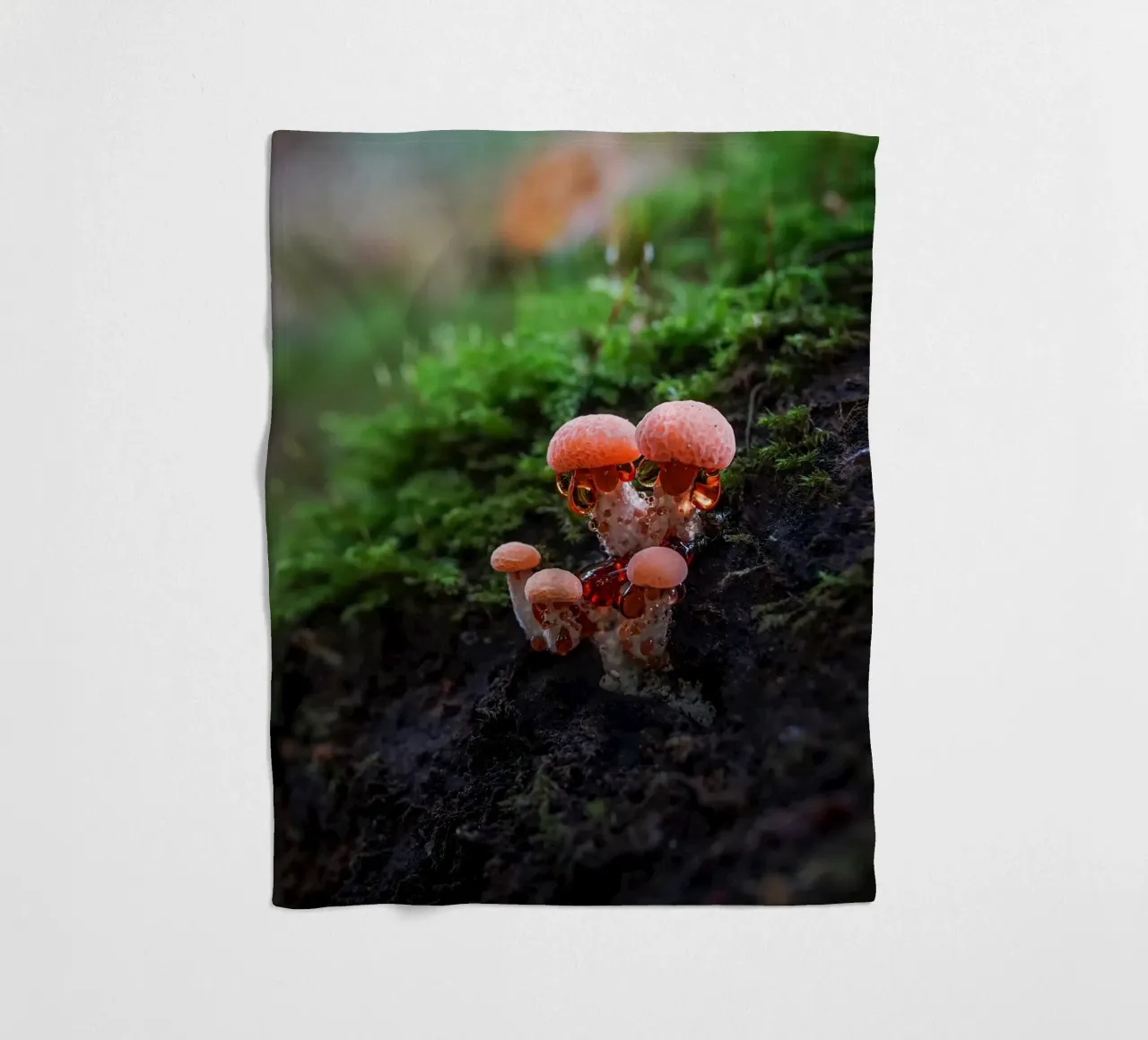 Autunno coperta in pile da Tom's Wildlife