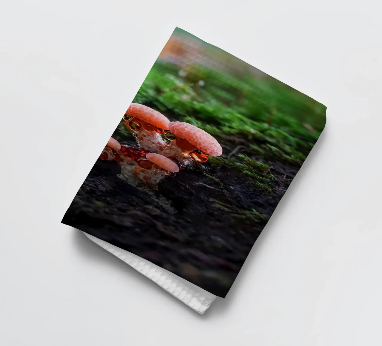 Autunno canovaccio da cucina da Tom's Wildlife