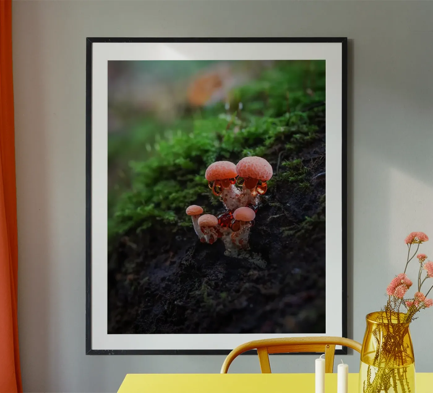 Autunno poster da Tom's Wildlife