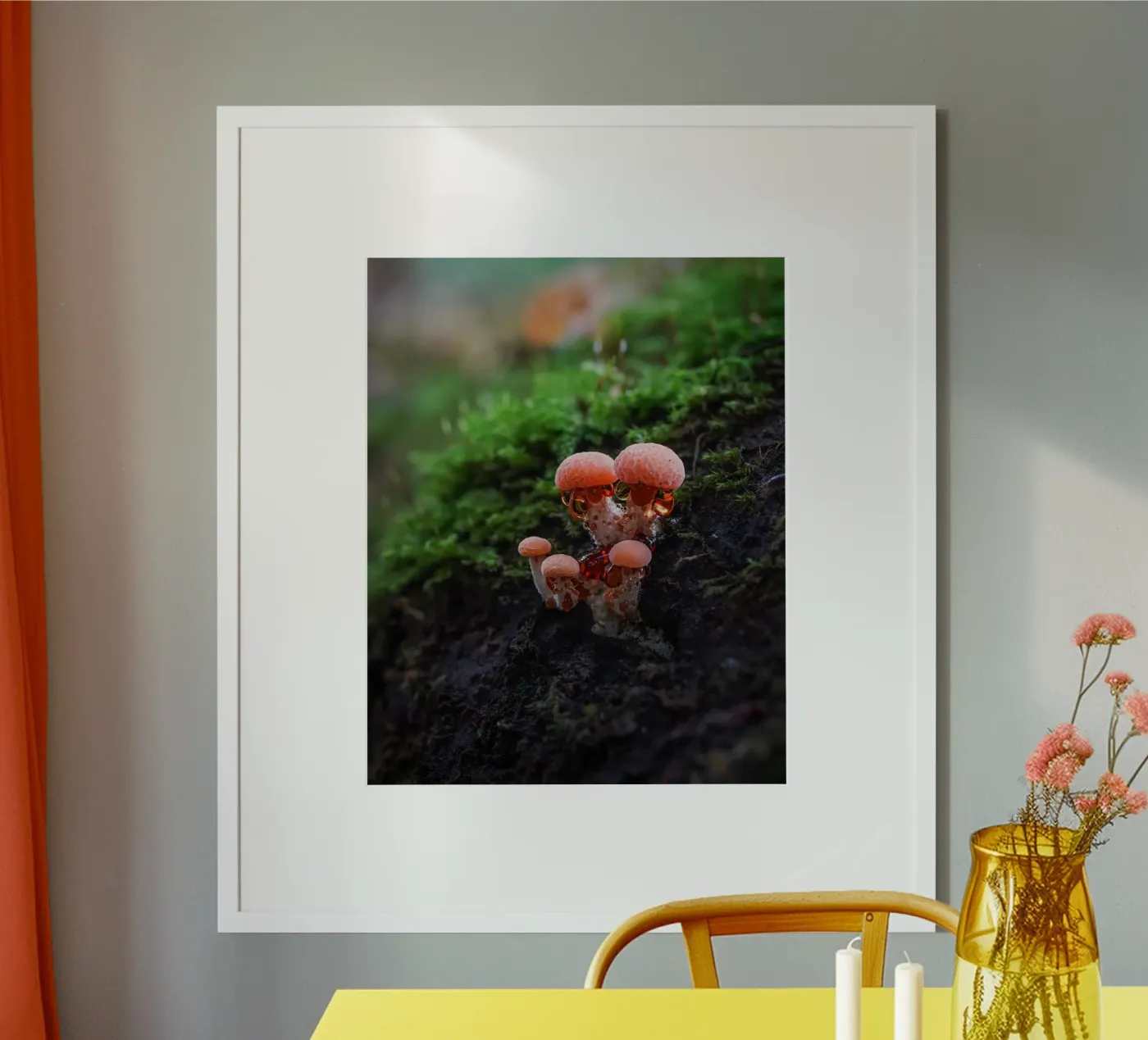 Autunno poster da Tom's Wildlife