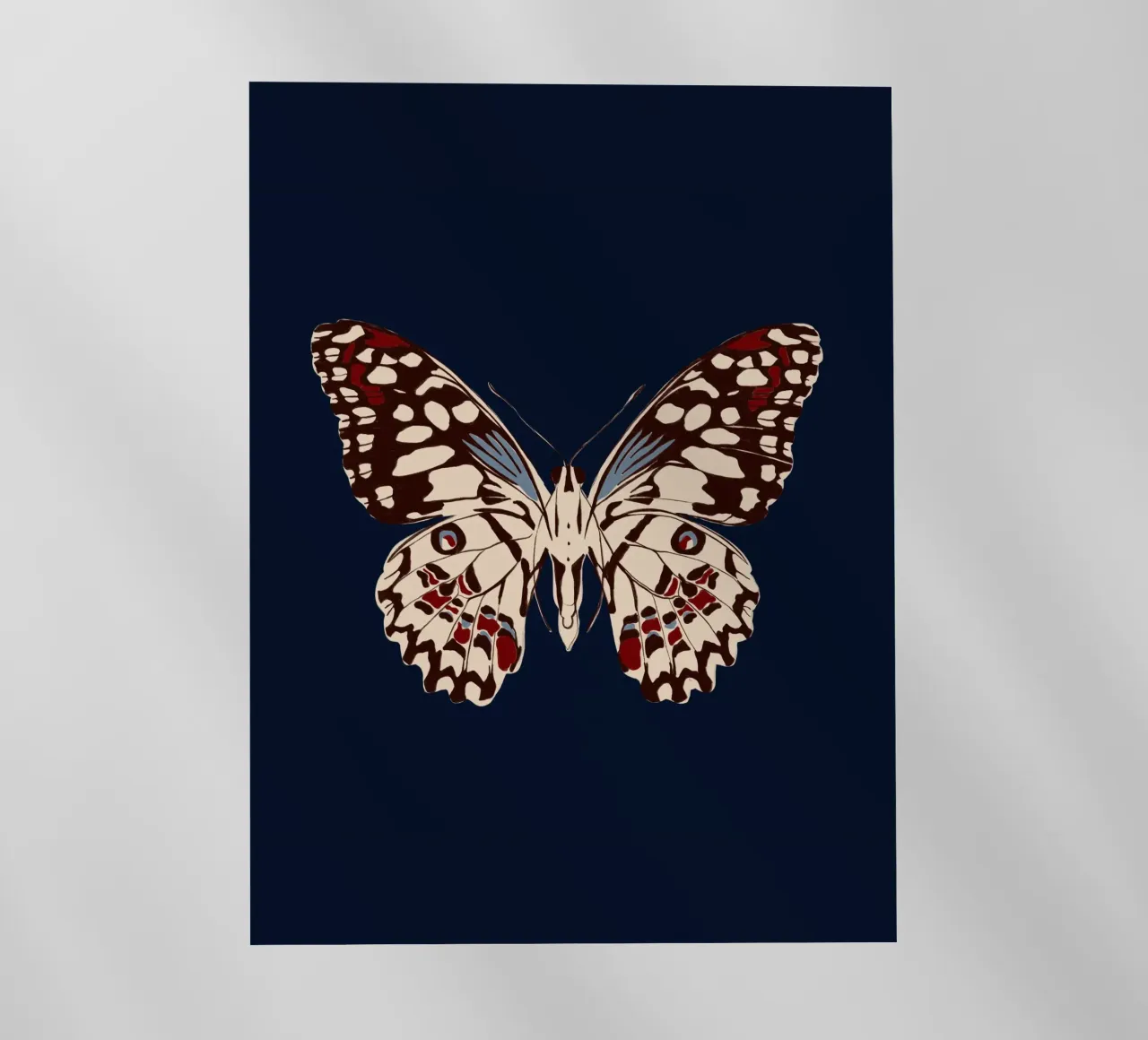 Schmetterling Dunkelblau pellicola backlit da Sophie Augustin Illustration
