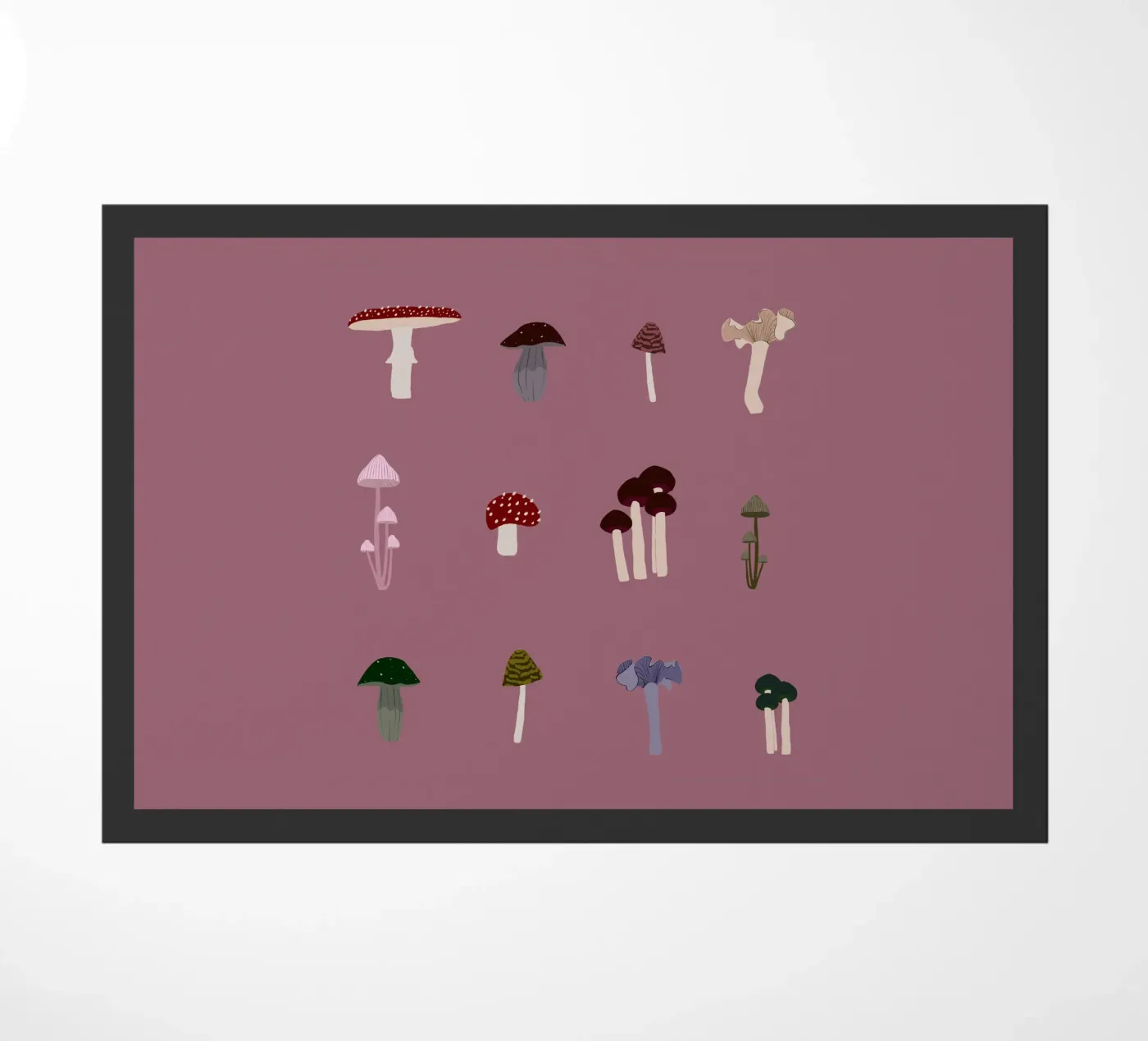 Pilze zerbino da Sophie Augustin Illustration