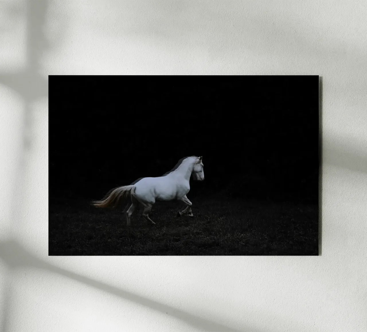 Running ghost | Ghost-Kollektion pannello forex da unequinesouls