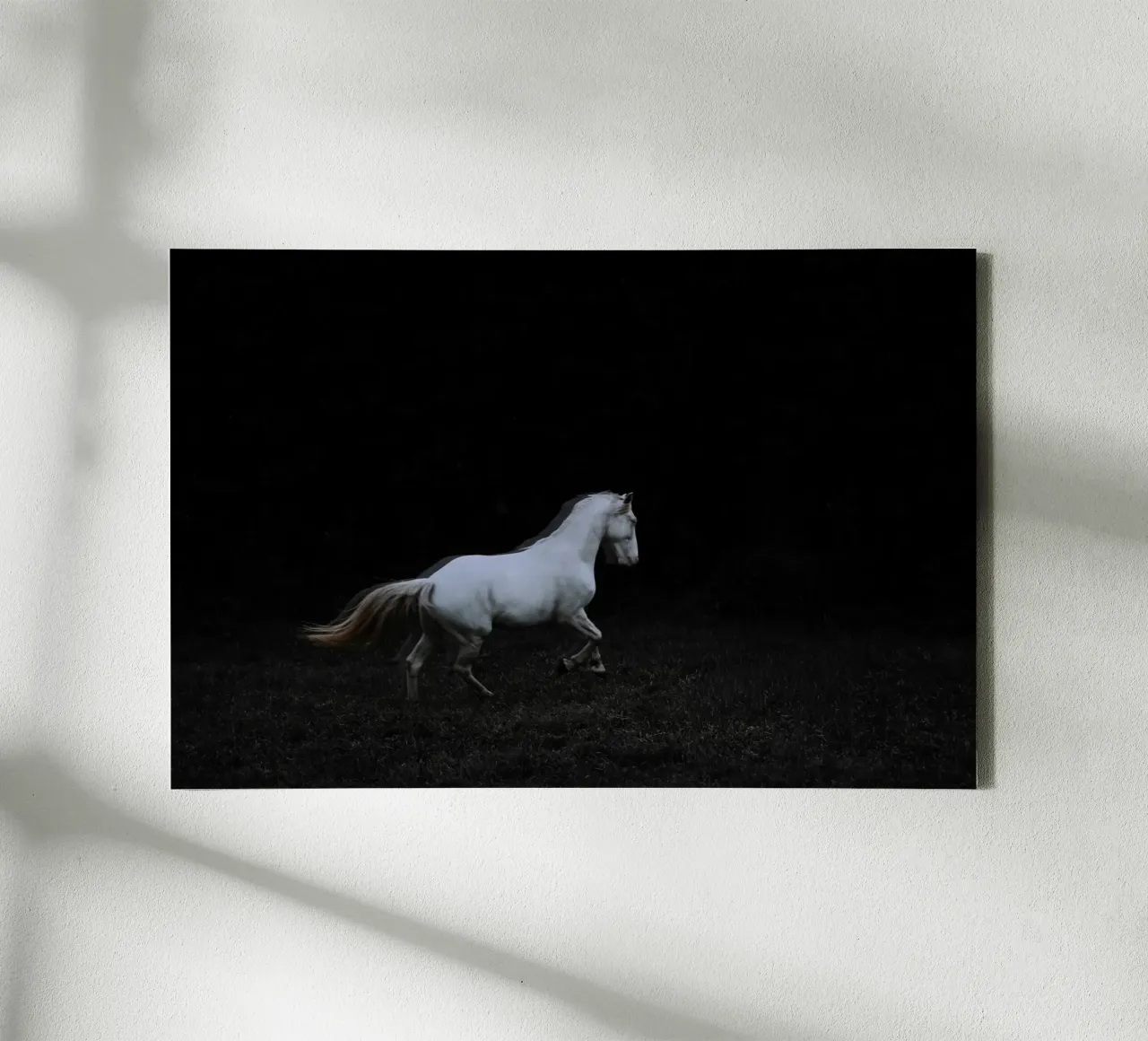 Running ghost | Ghost-Kollektion tela da unequinesouls